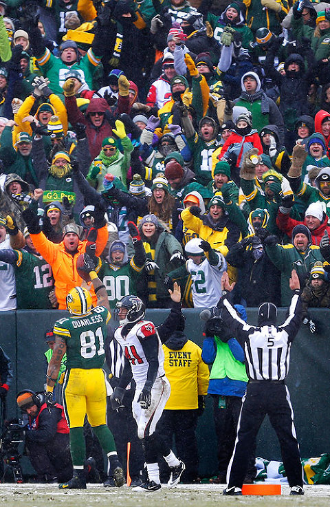 Green Bay Packers tight end Andrew Quarless (81) celebrates at the